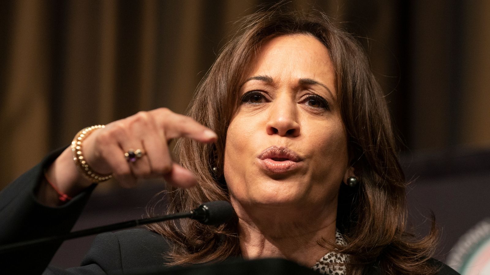 “Nice Gas Stove You Got There”: Vice President Kamala Grilled Over Gas Stove in Holiday Photo