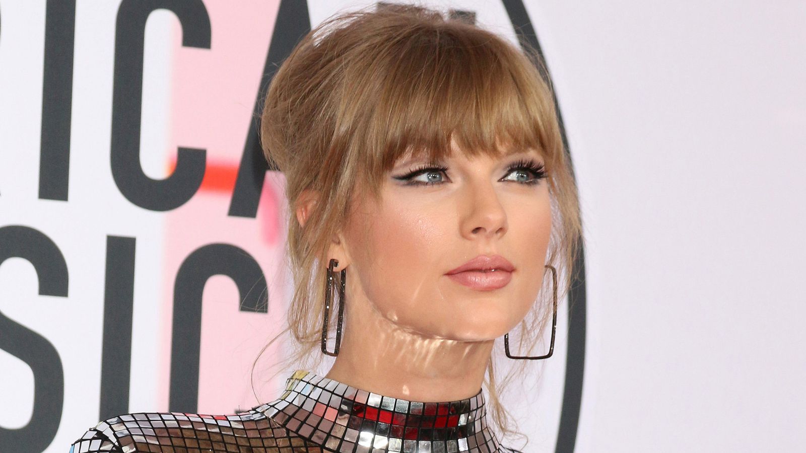 “We Are All Taylor Swift Fans”: Could Taylor Swift Run for President?